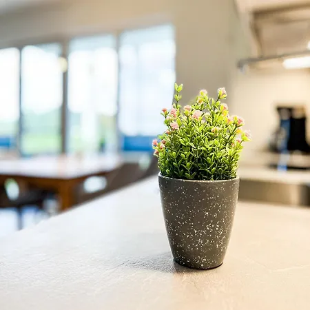 Weisse 25 Boltenhagen (Ostseebad)