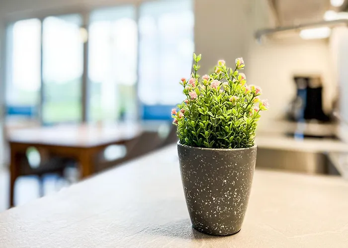 Weisse 25 Boltenhagen